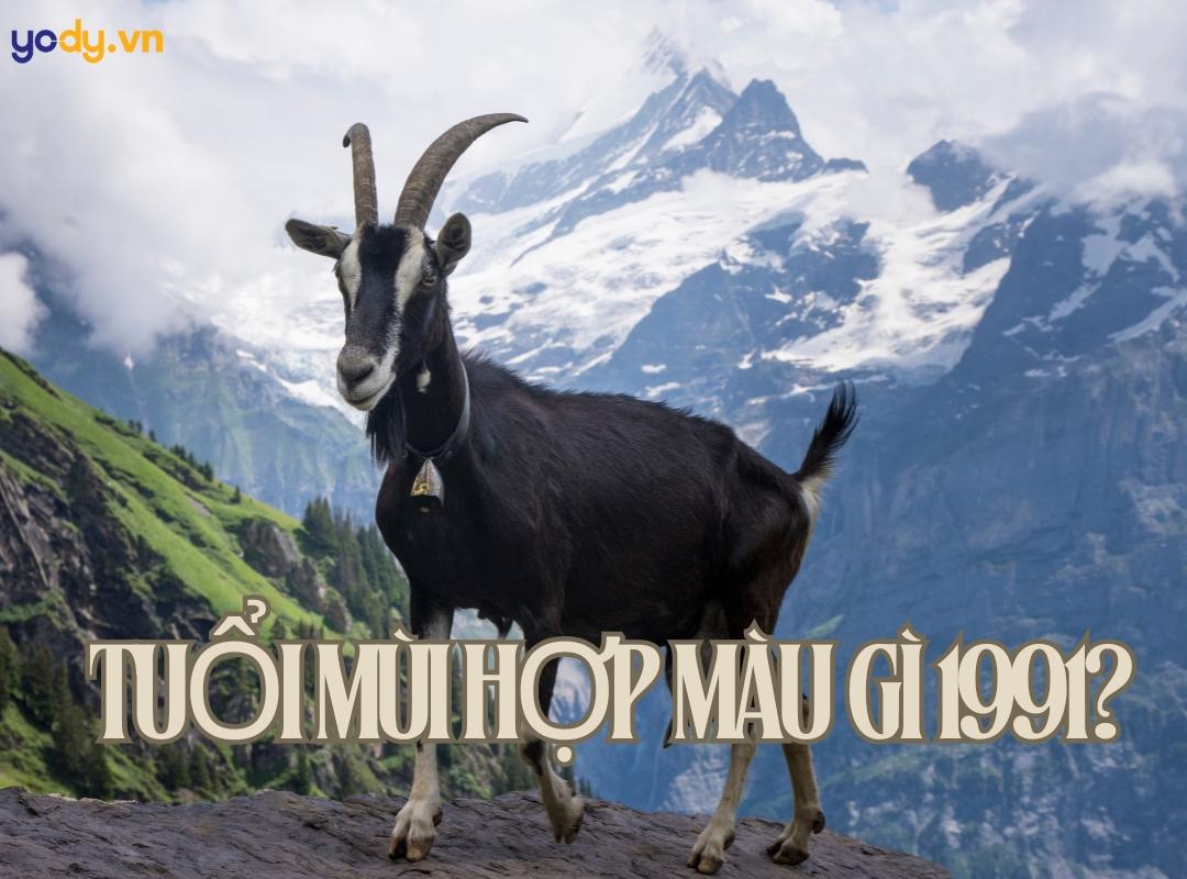 Ung dung mau sac hop voi nguoi sinh nam 1991 trong cuoc song va nghe thuat